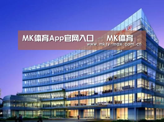 MK体育案例展示三