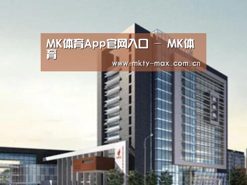 MK体育案例展示四
