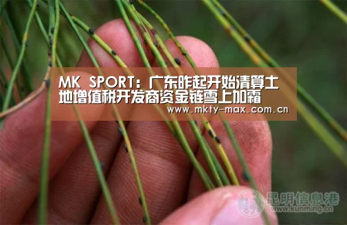 MK SPORT